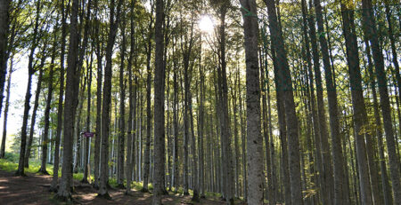 escursione in vetta Monte Amiata - Tenuta di Paganico