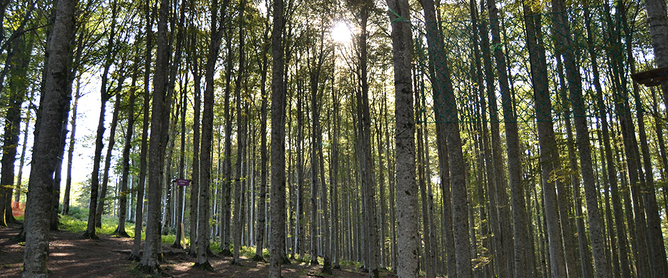 escursione in vetta Monte Amiata - Tenuta di Paganico