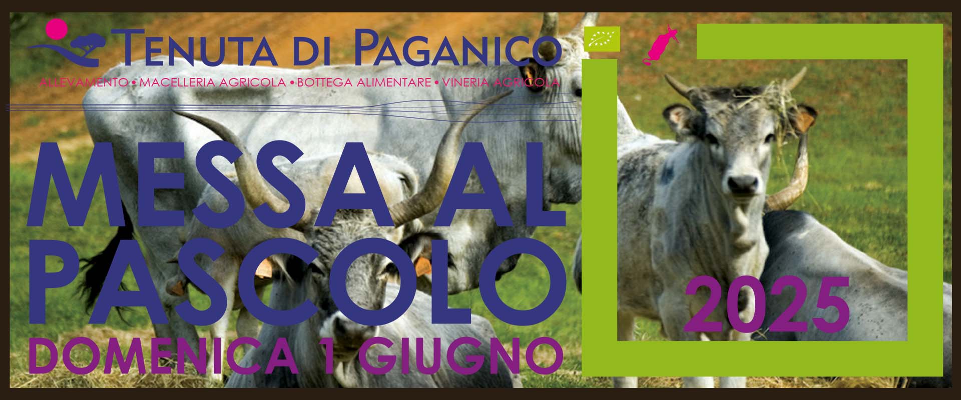 TENUTA DI PAGANICO MESSA AL PASCOLO 20205