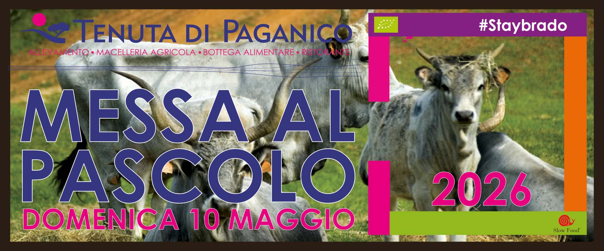 banner messa al pascolo2026