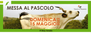 tenuta di paganico - messa al pascolo 2022