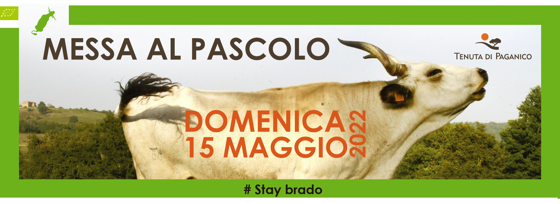 tenuta di paganico - messa al pascolo 2022