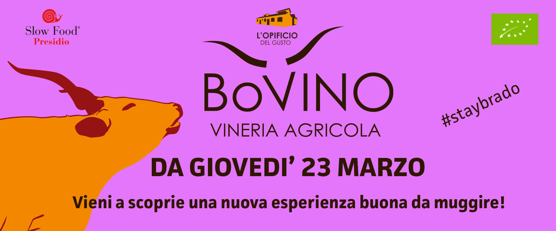 bovino vineria agricola tenuta di paganico grosseto ristorante