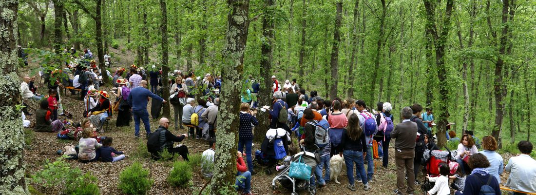 eventi_bosco_tenuta_di_paganico eventi_bosco_tenuta_di_paganico