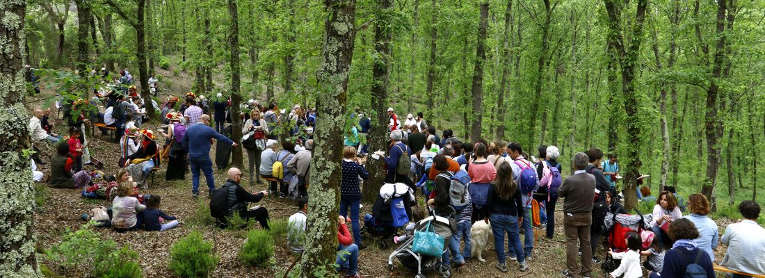 eventi_bosco_tenuta_di_paganico